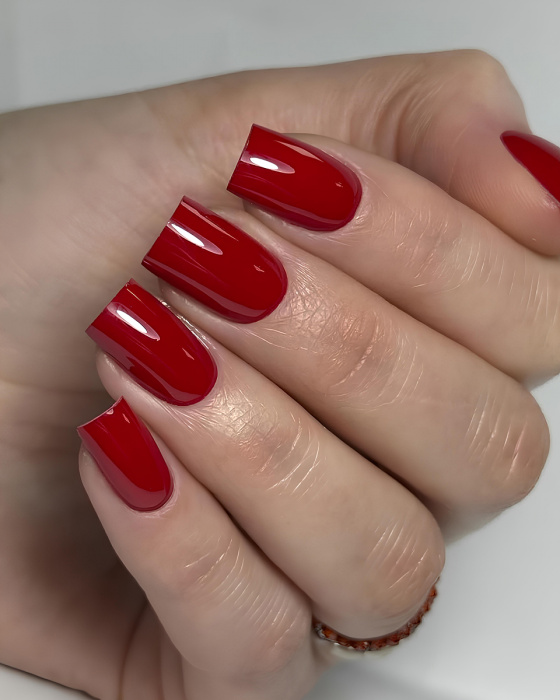 vx9o8muia3mj40qr9s1lbpvtiuos2csl