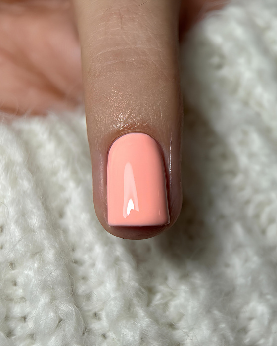 n0ddkjcjfh8xweoybeos9vilg8wyod29