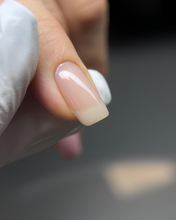 kz6wy2z3mat6ndps31nxbvsiuv7hhdji