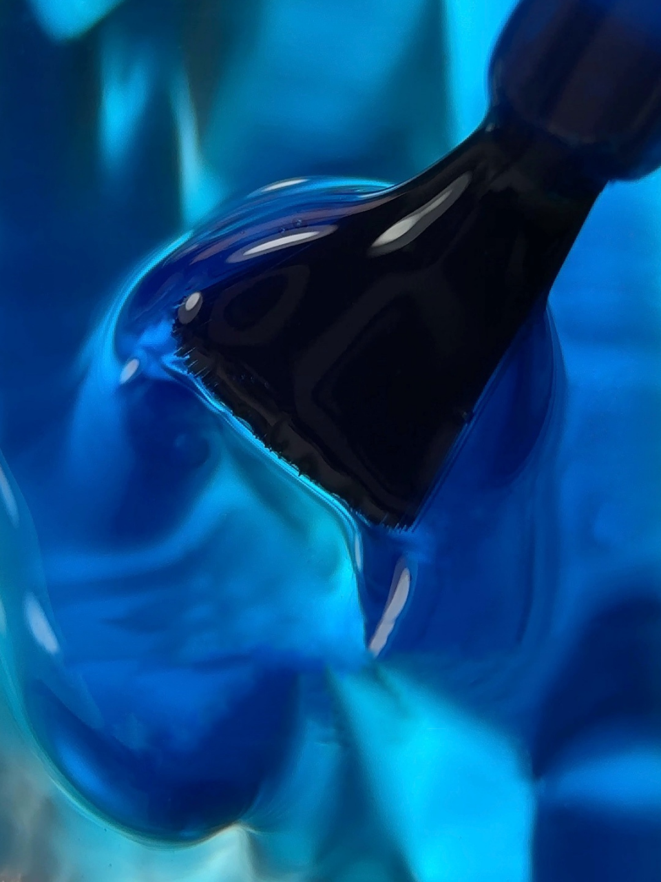 56